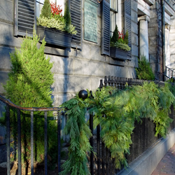 Pine branch garland adorning black wrough iron fence in boston