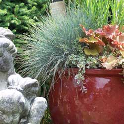 year-round-container-gardening-1