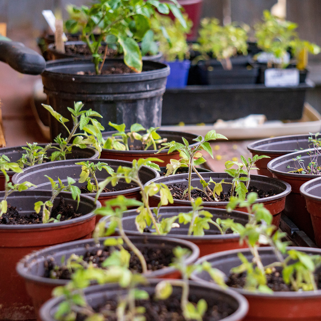 April Garden Essentials