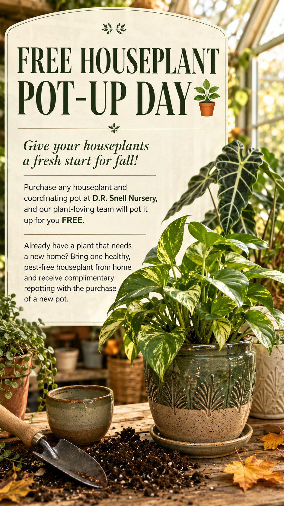 Free Houseplant Pot-Up Day